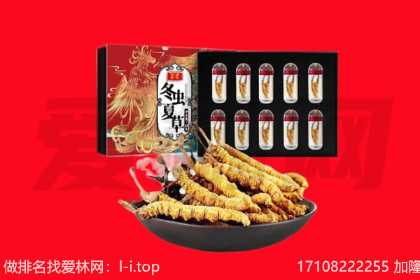 宁波慈溪市回收虫草.jpg